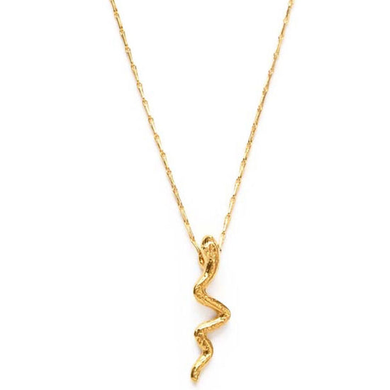 Load image into Gallery viewer, Tiny Gold Serpent Necklace - HERS
